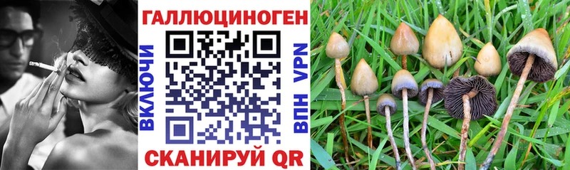 Галлюциногенные грибы GOLDEN TEACHER  Поворино 